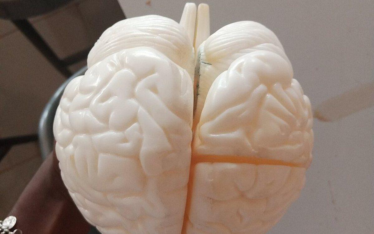 Inside Your Head: Memory, Attention & the Human Mind